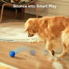 Cheerble Wicked Ball AIR – Interactive Dog Toy - Photo 3