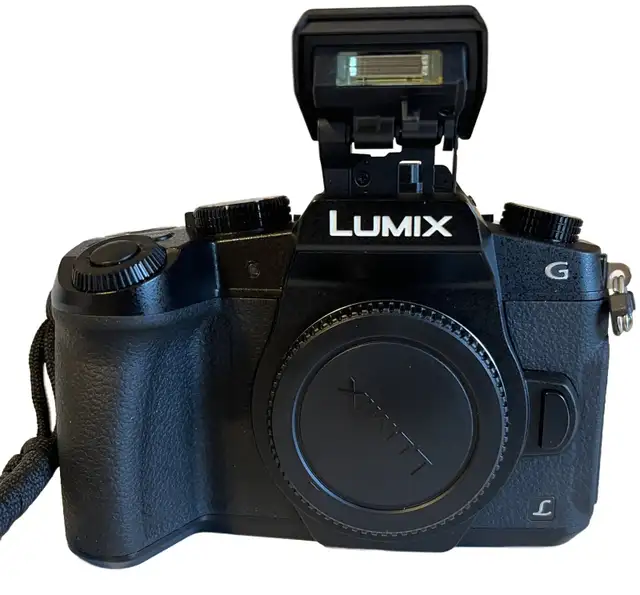 PANASONIC LUMIX G85 À VENDRE - Photo 2