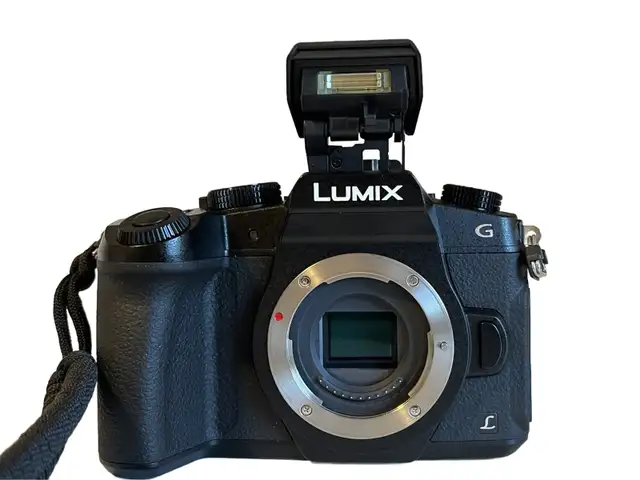 PANASONIC LUMIX G85 À VENDRE - Photo 3