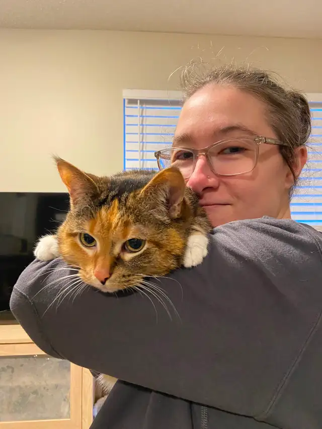 Small dog sitting and overnight care - Photo 7