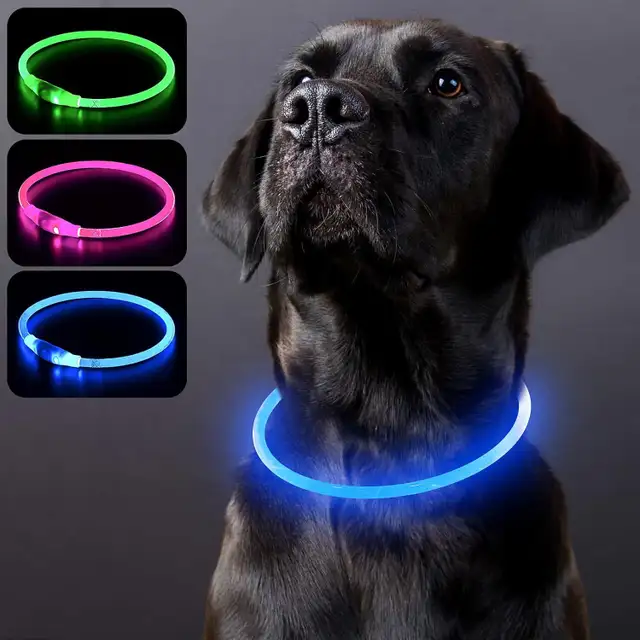 PZRLit USB Rechargeable LED Dog Collar – Blue