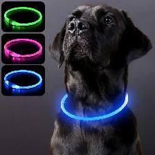 PZRLit USB Rechargeable LED Dog Collar – Blue