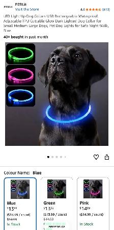 PZRLit USB Rechargeable LED Dog Collar – Blue - Photo 7