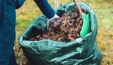 spring clean up. - Photo 2