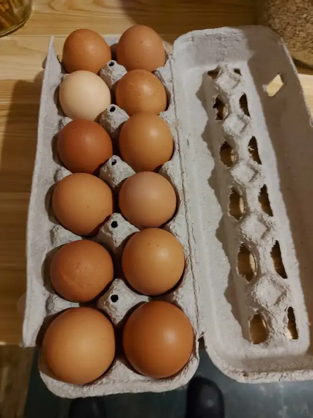 Farm Eggs