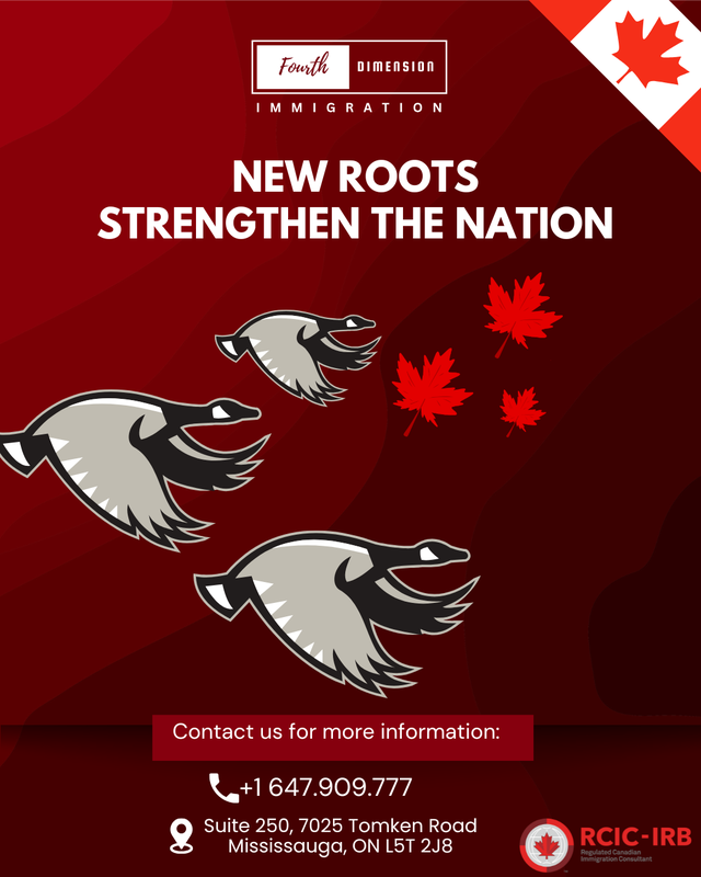 Fourth Dimension Immigration - Top-Rated Immigration Consultants - Photo 3