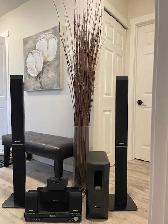 Panasonic Pro Audio Set (Total 8 Pcs)