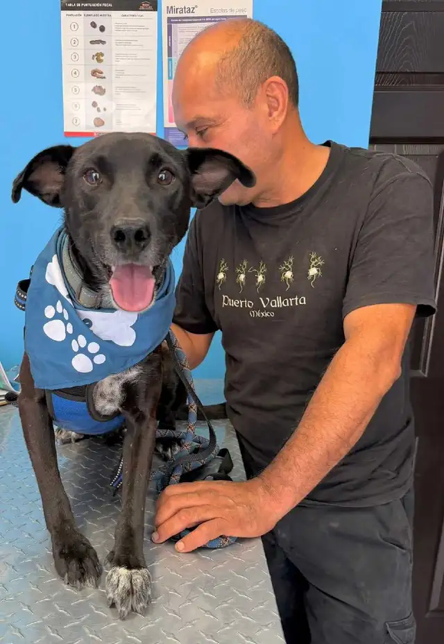 cosmo medium sweet social mexi mix - Photo 2