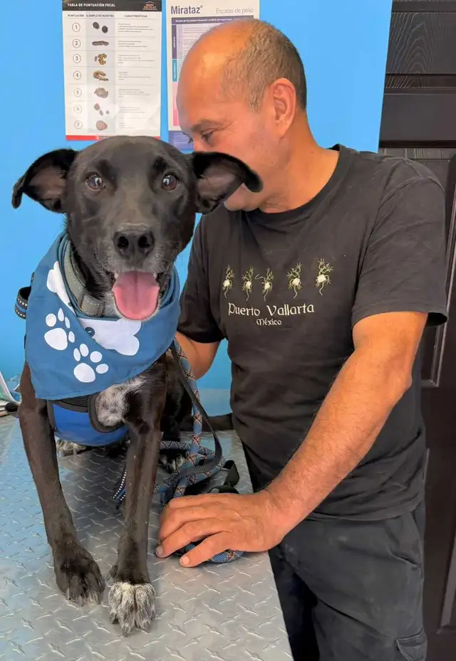 cosmo medium sweet social mexi mix - Photo 4