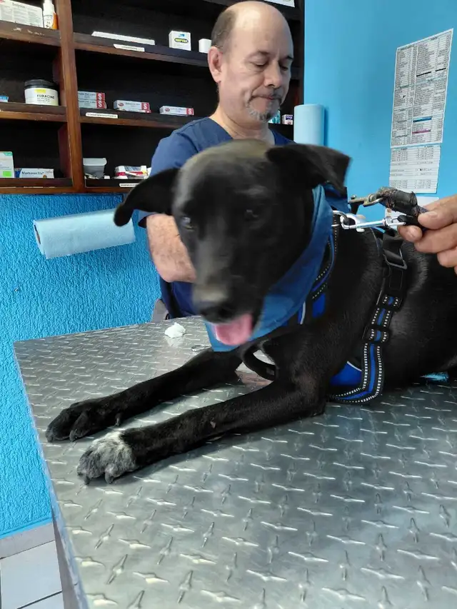 cosmo medium sweet social mexi mix - Photo 5