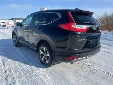 2019 Honda CR-V LX - Photo 2