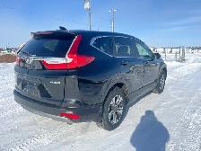 2019 Honda CR-V LX - Photo 4