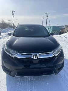 2019 Honda CR-V LX - Photo 7