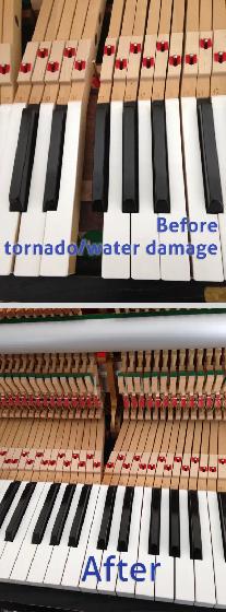 PIANO TUNER/TUNING/MOVlNG. GATINEAU/OTTAWA ACCORDEUR DE PIANO - Photo 2