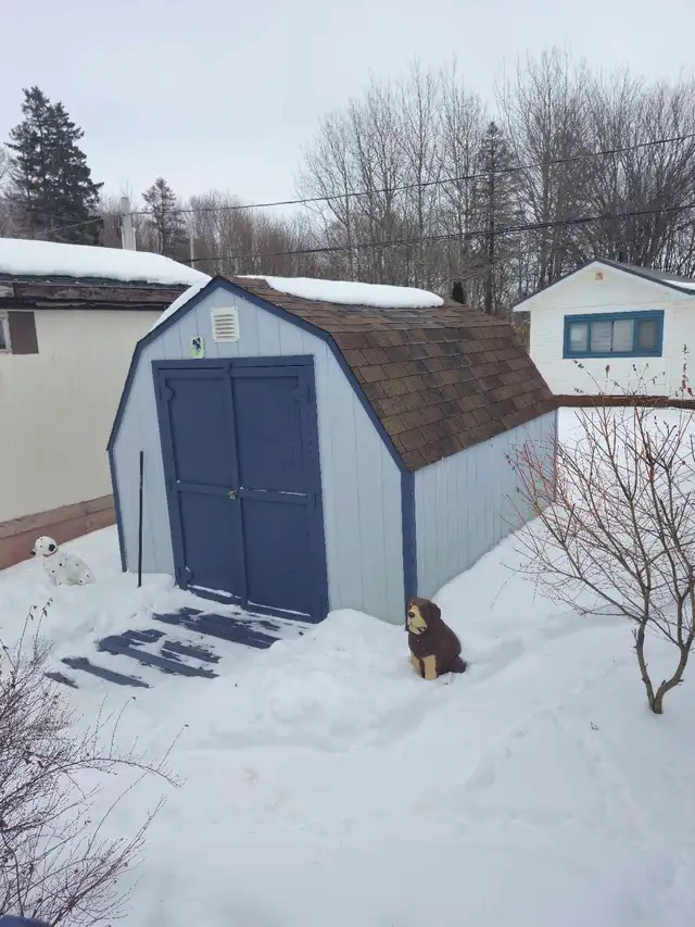 Shed for sale