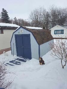 Shed for sale