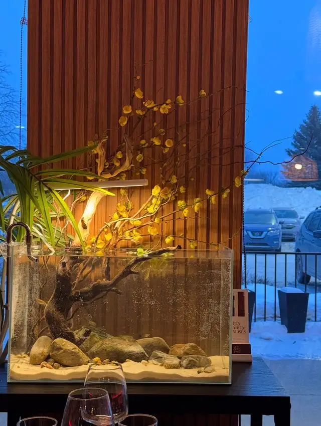 Service d'entretien d'aquarium