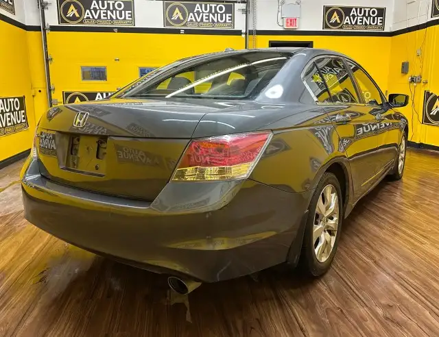 2008 Honda Accord EX-L - LEATHER! HEATED SEATS! - Photo 5