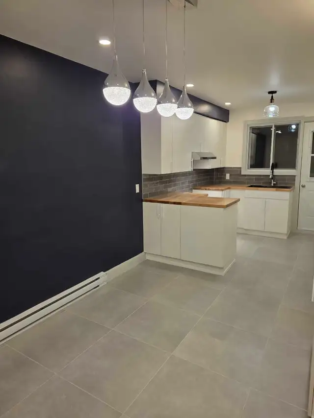 5 1/2 bien eclaire metro fabre pres de tous les services