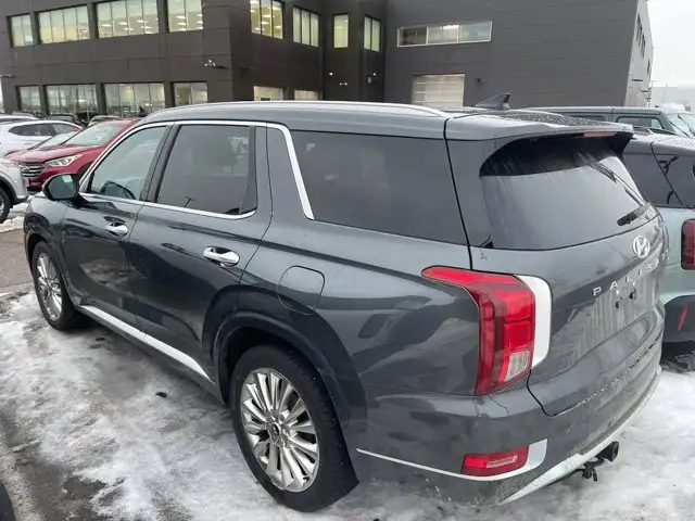 2020 Hyundai Palisade Ultimate - Photo 3