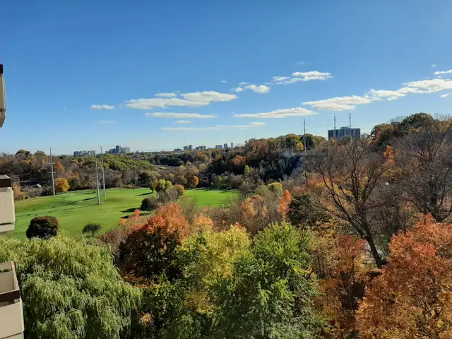 (8th/March~, 25/Day)Don Mills&Eglington(Short term) - Photo 7