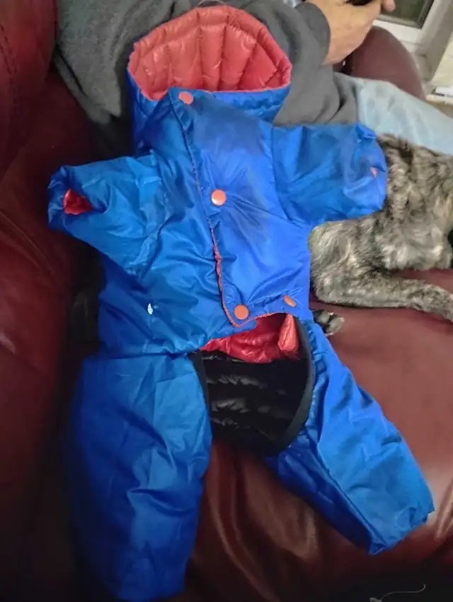 North face dog coat - Photo 4