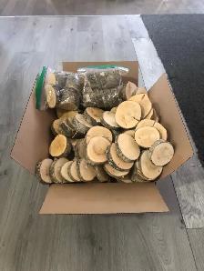 Plusieurs magnifiques rondelles de bois 3po