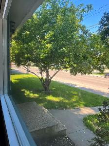 Rent 950 Sq feet 3-bedroom Bungalow house, Avalon Area - Photo 14