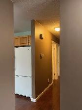 Rent 950 Sq feet 3-bedroom Bungalow house, Avalon Area - Photo 18