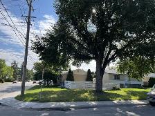 Rent 950 Sq feet 3-bedroom Bungalow house, Avalon Area - Photo 20