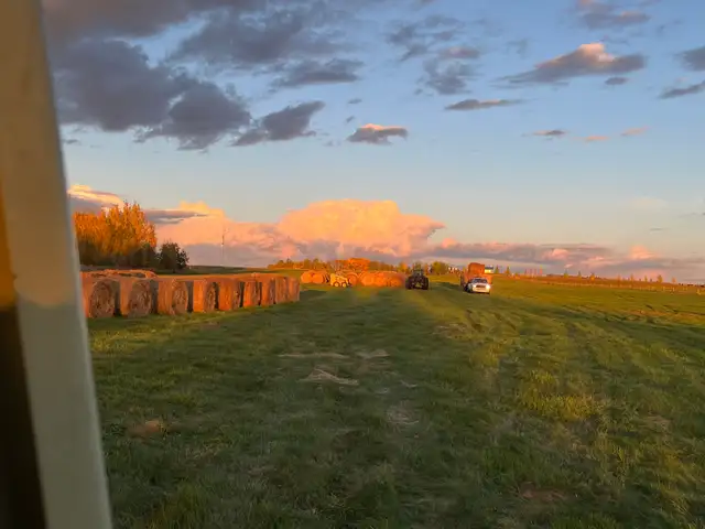 grass hay! - Photo 5