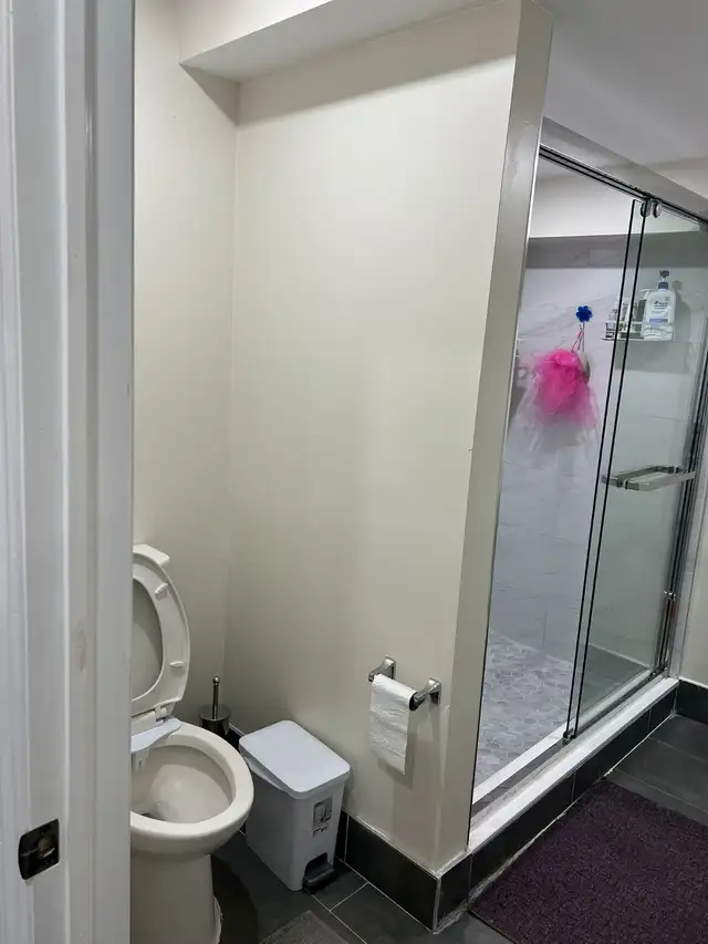 2 Bedroom Basemaent   for lease - Photo 6