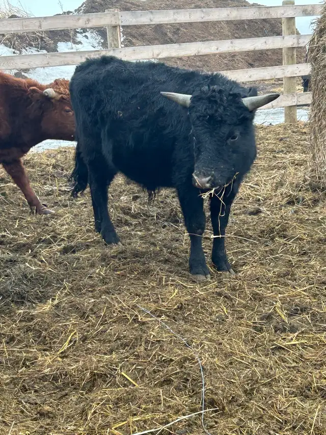 Take a Look! - Photo 2