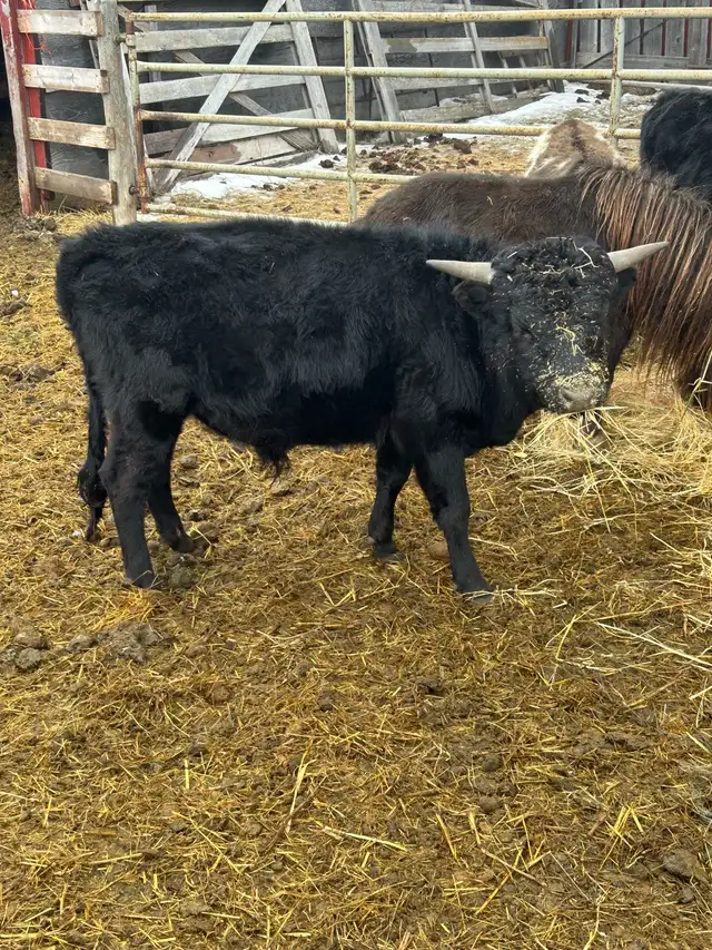 Take a Look! - Photo 4