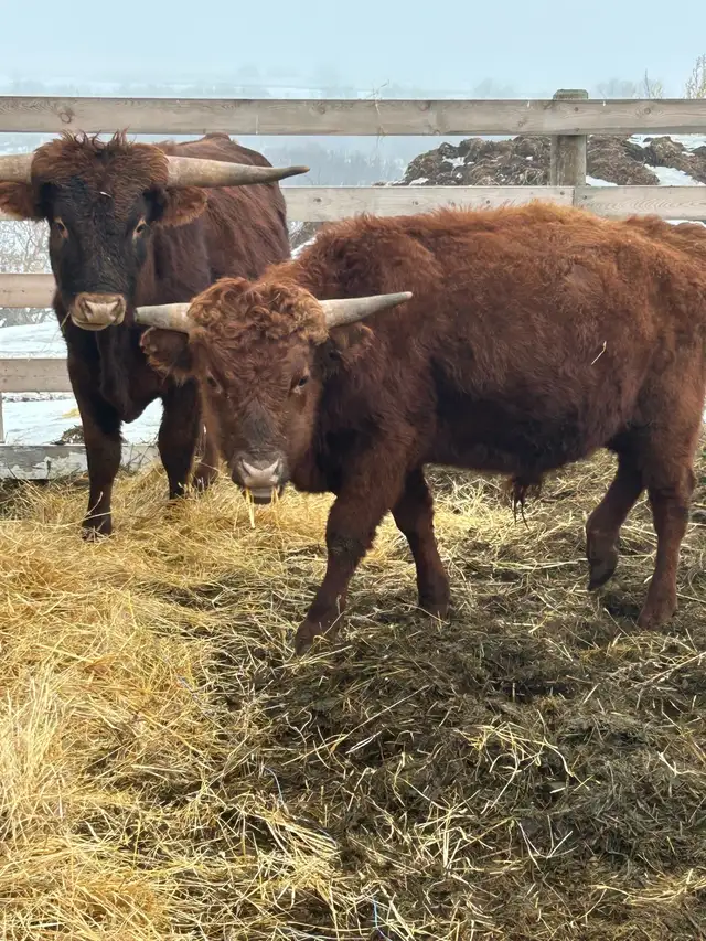 Take a Look! - Photo 5