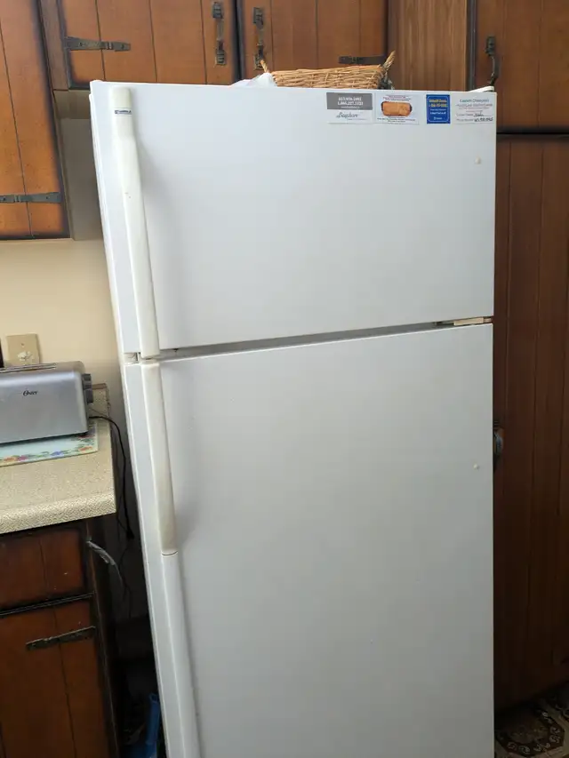 Fridge Stove and appliances - Photo 3