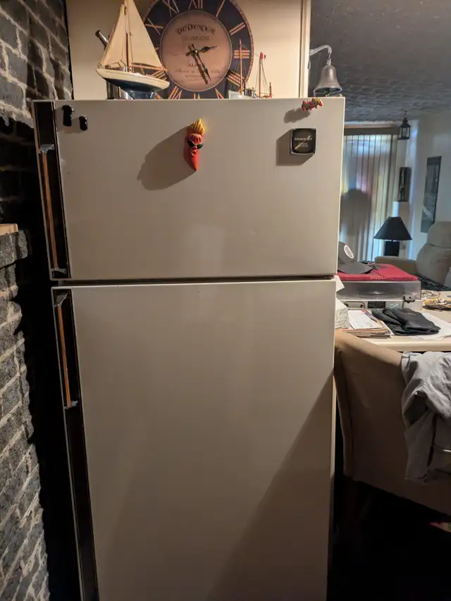 Fridge Stove and appliances - Photo 6