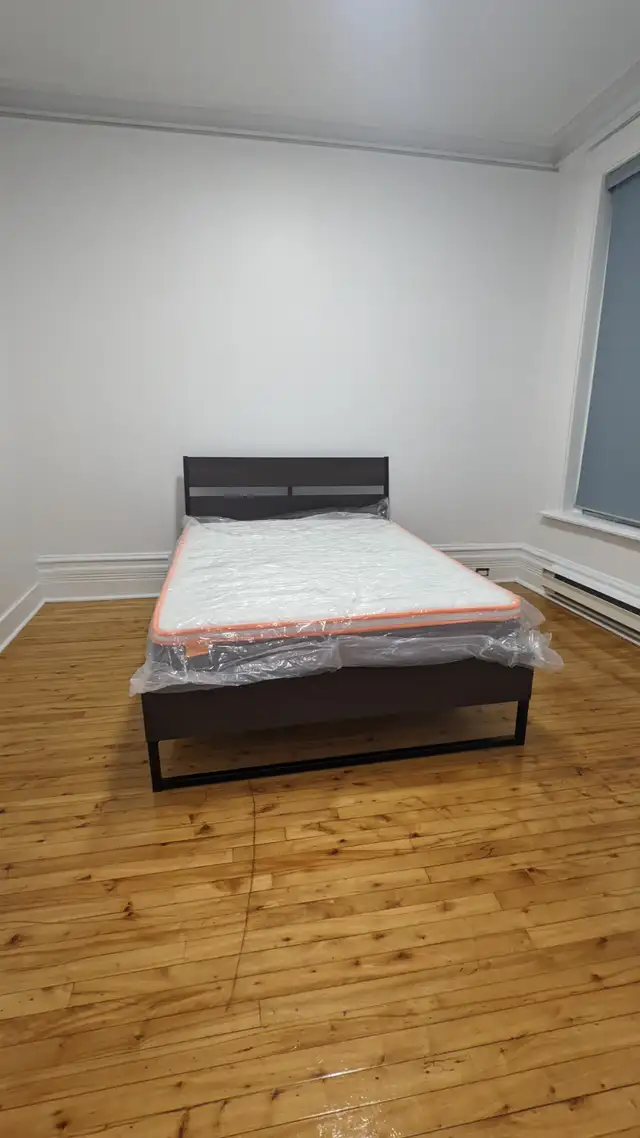 3 bedroom near McGill Furnished with utilities - Photo 5