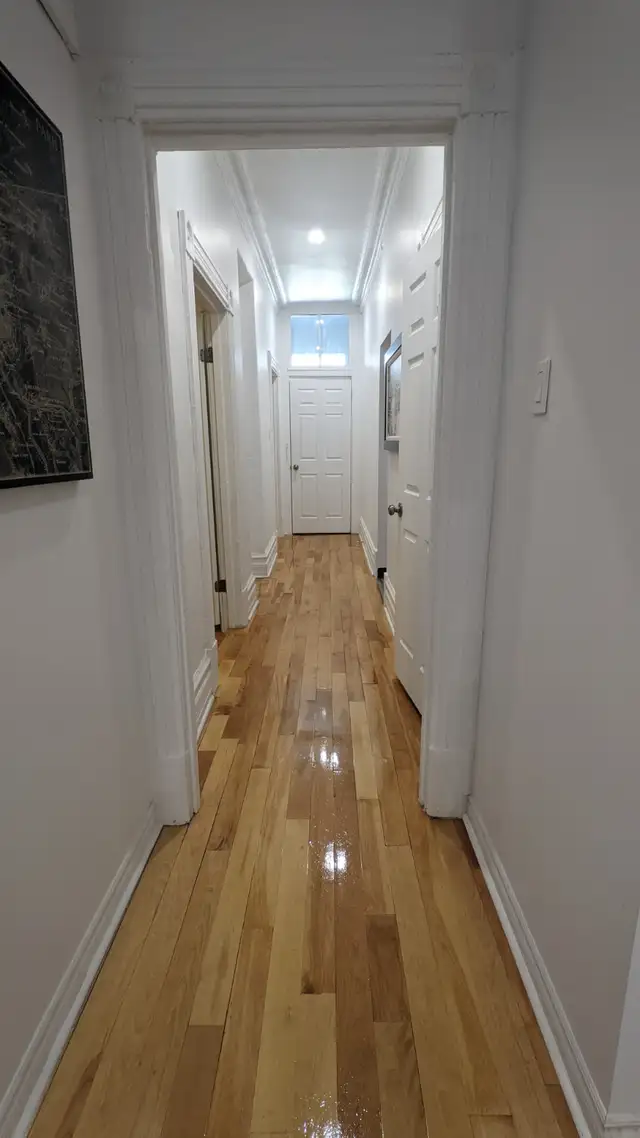 3 bedroom near McGill Furnished with utilities - Photo 6