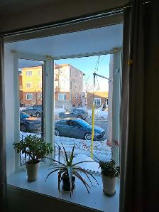 Beau 4 1/2 Premier étage Shawinigan - Photo 10