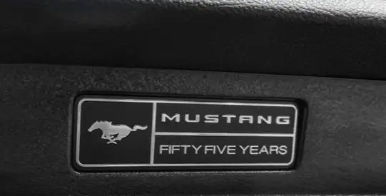 Ford mustang gt  performance package 2  recaro racing seats - Photo 10