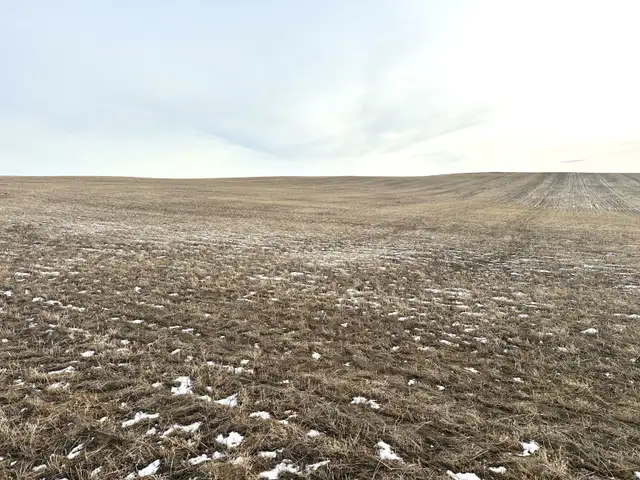 1,229 Acres For Sale Richmound Sk