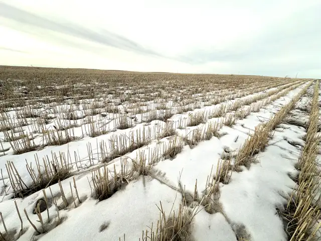 1,229 Acres For Sale Richmound Sk - Photo 3