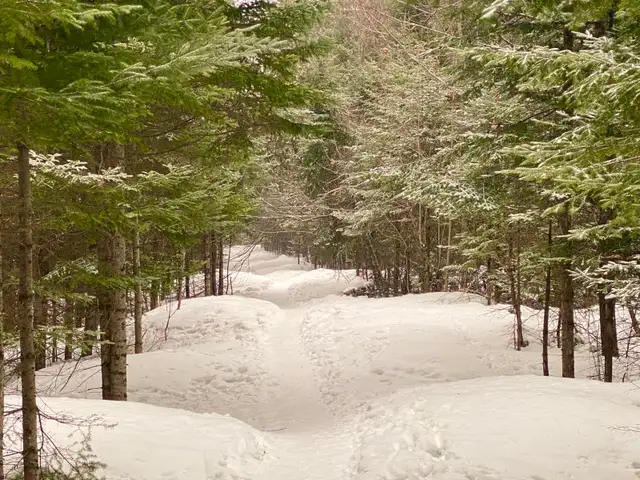 2 Terrains à vendre - Photo 5