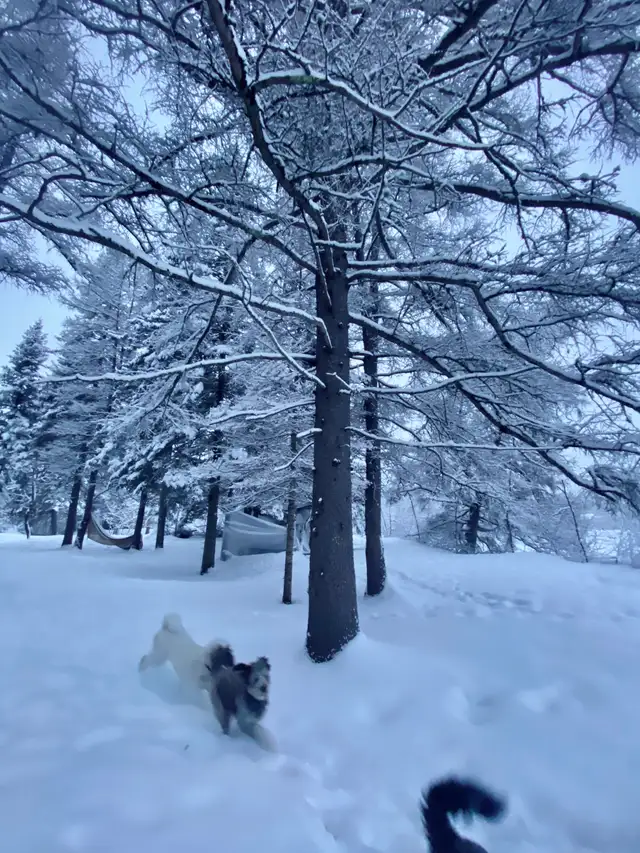 2 Terrains à vendre - Photo 7