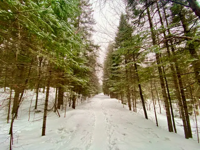 2 Terrains à vendre - Photo 8