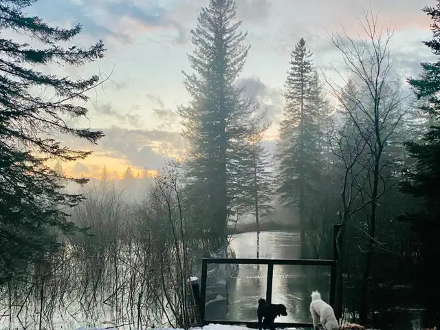 2 Terrains à vendre - Photo 9