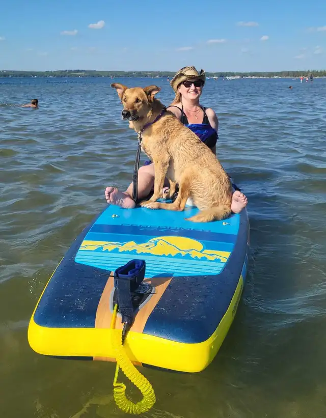 PROFESSIONAL DOG TRAINER/PRIVATE TRAINING/OR BOARD &TRAIN - Photo 2