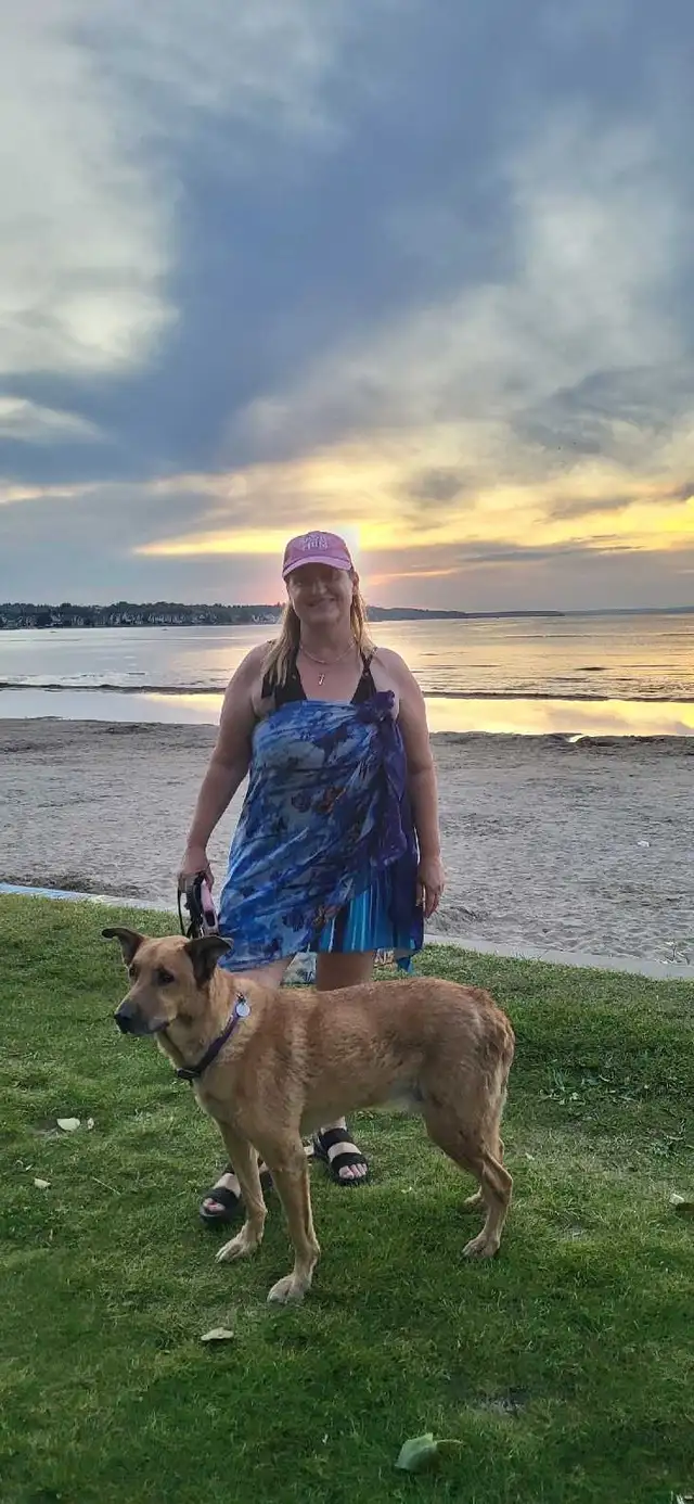 PROFESSIONAL DOG TRAINER/PRIVATE TRAINING/OR BOARD &TRAIN - Photo 5