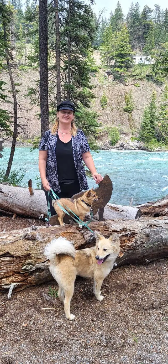 PROFESSIONAL DOG TRAINER/PRIVATE TRAINING/OR BOARD &TRAIN - Photo 7